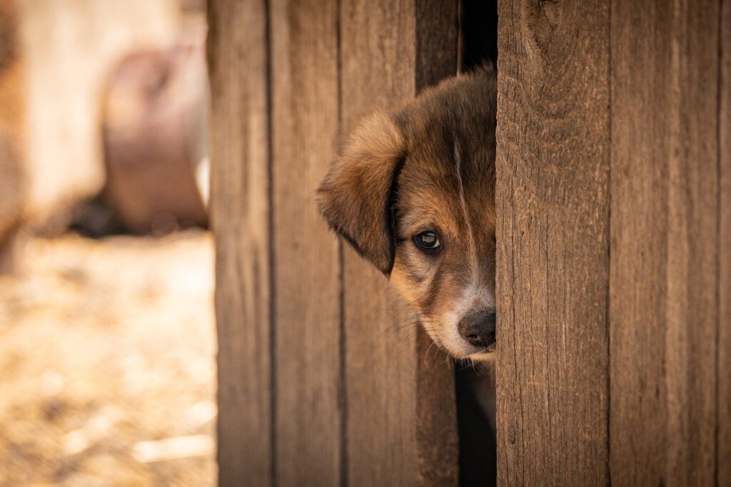男性一人旅で行く海外アジアの格安国はどこですか？